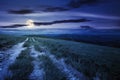 Country road through alpine meadow at night Royalty Free Stock Photo