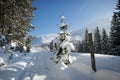 Country road in the Alps Royalty Free Stock Photo