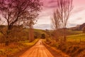 Country road in Australia Royalty Free Stock Photo