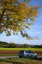 Country road in autumn