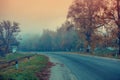 Country road in the early misty morning Royalty Free Stock Photo