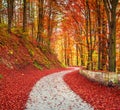 Country road among autumn forest Royalty Free Stock Photo