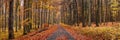 Country road in autumn forest. Path in colorful deciduous woodland Royalty Free Stock Photo