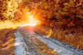 Country road in the autumn forest to the sun Royalty Free Stock Photo