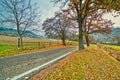 Country road in autumn landscape Royalty Free Stock Photo