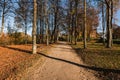 Country road in autumn park. Bauska town, Latvia Royalty Free Stock Photo