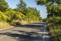 Country road from Barbarano to Oriolo Romano at summer Royalty Free Stock Photo