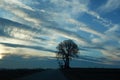 Country road and bare trees ona a cold wintry morning in the countryside Royalty Free Stock Photo