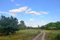 Country road. Beautiful landscape