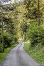 Country road bending in forest near Oppenau, Black Forest, Germany