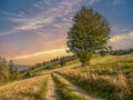 A country road in Beskid Zywiecki Mountains, Poland