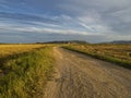 Country road betwee the paddy fields