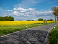 Country road with a blooming rapeseed field Royalty Free Stock Photo