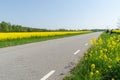 Country road with blossom rape seed fields by road side Royalty Free Stock Photo