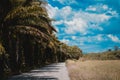 Country road and blue sky in Thailand with vintage color filt Royalty Free Stock Photo