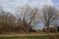 Country road bordered by a stream of water on a cloudy day in the italian countryside Royalty Free Stock Photo