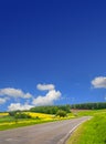 Country road through canola field and blue sky Royalty Free Stock Photo