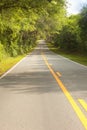 Country road with canopy covered oak trees Royalty Free Stock Photo