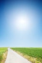 Country road with cloudless sunny sky Royalty Free Stock Photo