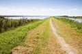 Country road in the Comacchio's valley (Ferrara - Italy) Royalty Free Stock Photo