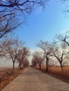 Country road in the countryside in early winter.