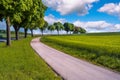 Country road curve along some trees Royalty Free Stock Photo