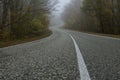 A country road curve with white lines of markings in an autumn forest. Asphalt road and forest in the fog. Mysterious Royalty Free Stock Photo