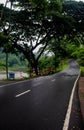 Country road with curves after a rain in Bangladesh Royalty Free Stock Photo