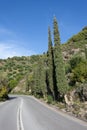 Country road with cypresses Royalty Free Stock Photo