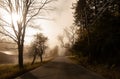 Country road at dawn with mist Royalty Free Stock Photo