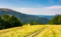 Country road down the alpine meadow Royalty Free Stock Photo