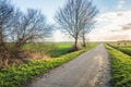Country road in a Dutch polder landscape Royalty Free Stock Photo
