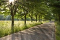 Country road on early morning in spring Royalty Free Stock Photo
