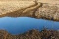 Country road in early spring. Royalty Free Stock Photo