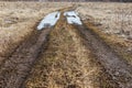 Country road in early spring. Royalty Free Stock Photo