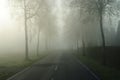 Country road in an endless rural landscape with a row of bare trees. Royalty Free Stock Photo