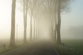 Country road in an endless rural landscape with a row of bare trees. Royalty Free Stock Photo