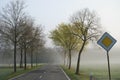 Country road in an endless rural landscape with a row of bare trees. Royalty Free Stock Photo