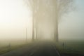 Country road in an endless rural landscape with a row of bare trees. Royalty Free Stock Photo