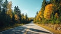 COUNTRY ROAD IN FALL AUTUMN Dramatic, moody scene of rural highway running through beautiful forest landscape. Orange and green Royalty Free Stock Photo