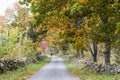 Country road in fall colors Royalty Free Stock Photo