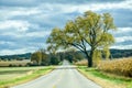 Country Road, Fall, Corn Fields Royalty Free Stock Photo