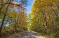 Country Road in the Fall Royalty Free Stock Photo