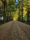 Country road on sunny fall day Royalty Free Stock Photo