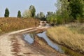 Country road, in the fall, after the rain, running along the field with dry sunflower. Royalty Free Stock Photo