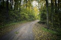 Country road in fall season. Latvia Royalty Free Stock Photo