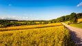 Country road and farm fields in rural York County, Pennsylvania.