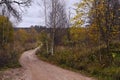 country road, a field with dry plants and birch trees with yellow leaves. Rural autumn landscape. Royalty Free Stock Photo