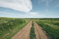 Country road in the field. Green grass and blue sky. Selected Focus Royalty Free Stock Photo