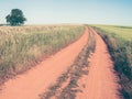 Country road in fields, agricultural landscape Royalty Free Stock Photo